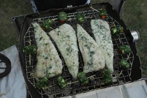 BBQ HresJ 064 IMG 0551