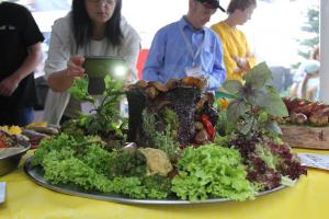 BBQ HresJ 244 IMG 0910